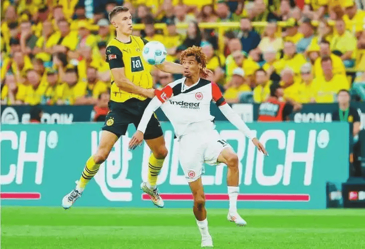 pg官网广东宏远最新消息今天